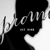 Jay Park - The Promise|Romanized|English|Indonesia Translate